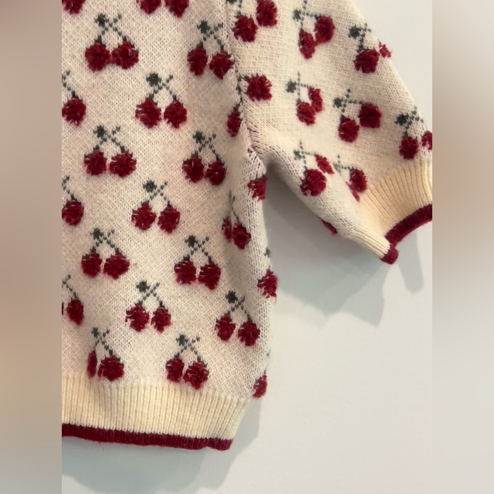Cider Cherry Pattern Knit Crop Top Size S - Picture 6 of 11